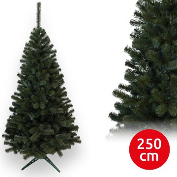Ziemassvētku eglīte 250 cm (egle)
