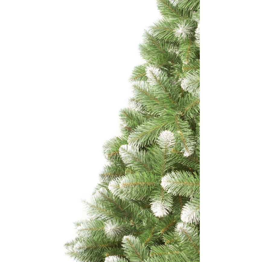 Ziemassvētku eglīte 250 cm priede