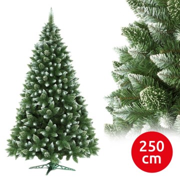 Ziemassvētku eglīte 250 cm priede