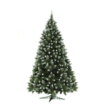 Ziemassvētku eglīte 250 cm priede