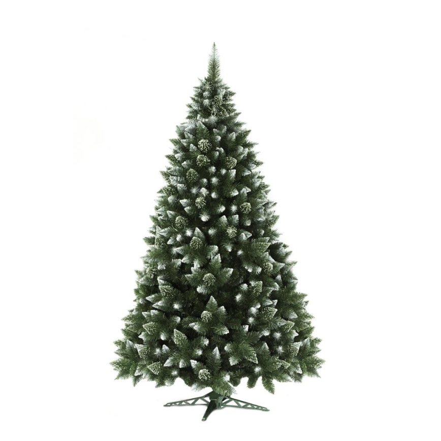 Ziemassvētku eglīte 250 cm priede