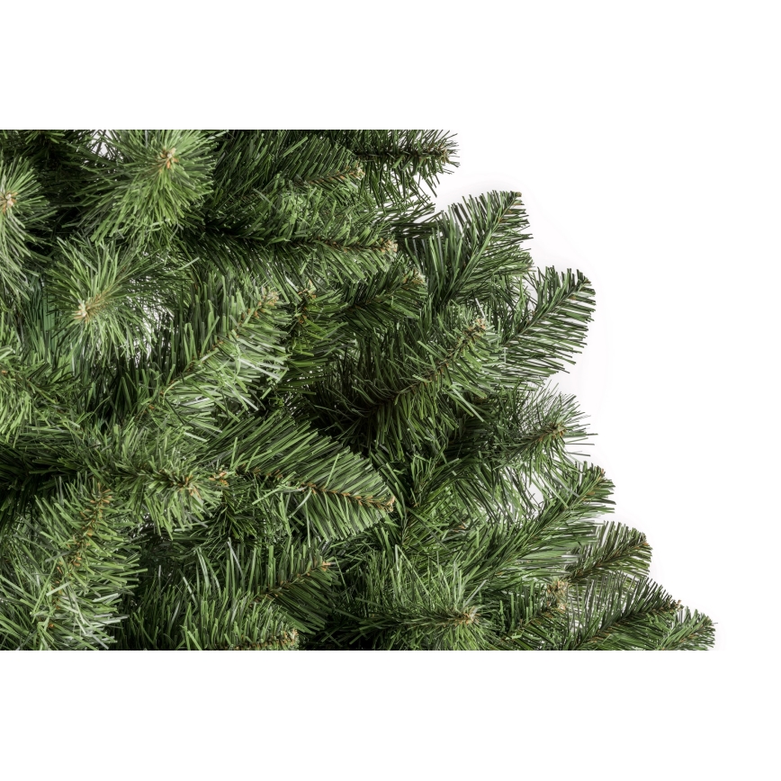 Ziemassvētku eglīte POLA 150 cm priede