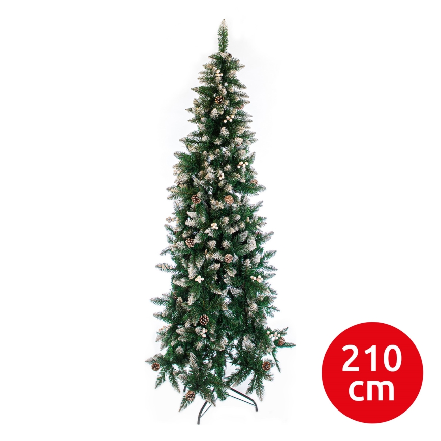 Ziemassvētku eglīte SLIM 210 cm egle