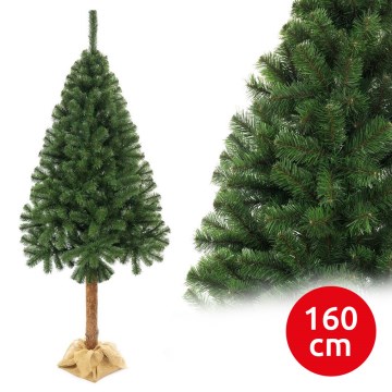 Ziemassvētku eglīte uz stumbra 160 cm egle