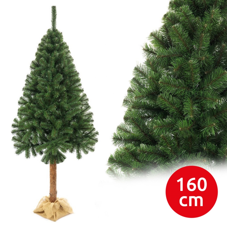 Ziemassvētku eglīte uz stumbra 160 cm egle