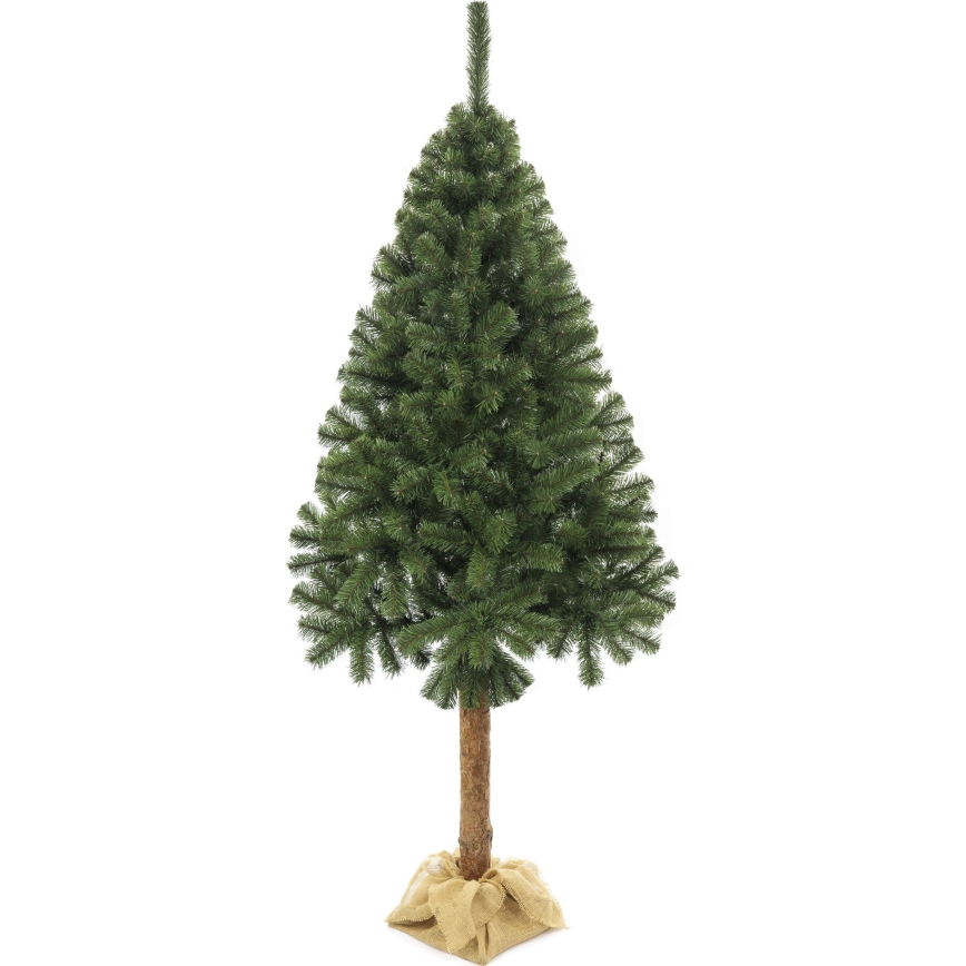 Ziemassvētku eglīte uz stumbra 160 cm egle