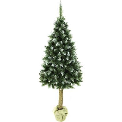 Ziemassvētku eglīte uz stumbra 180 cm egle