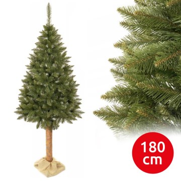 Ziemassvētku eglīte uz stumbra 180 cm egle