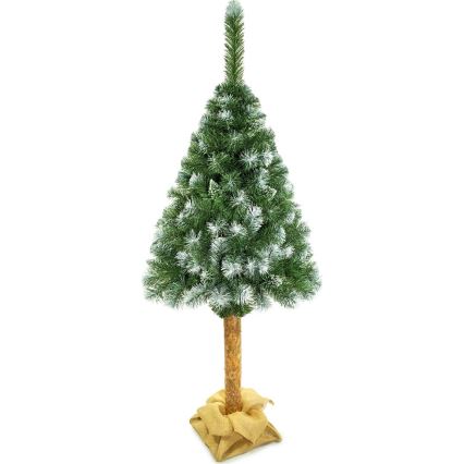 Ziemassvētku eglīte uz stumbra 180 cm priede
