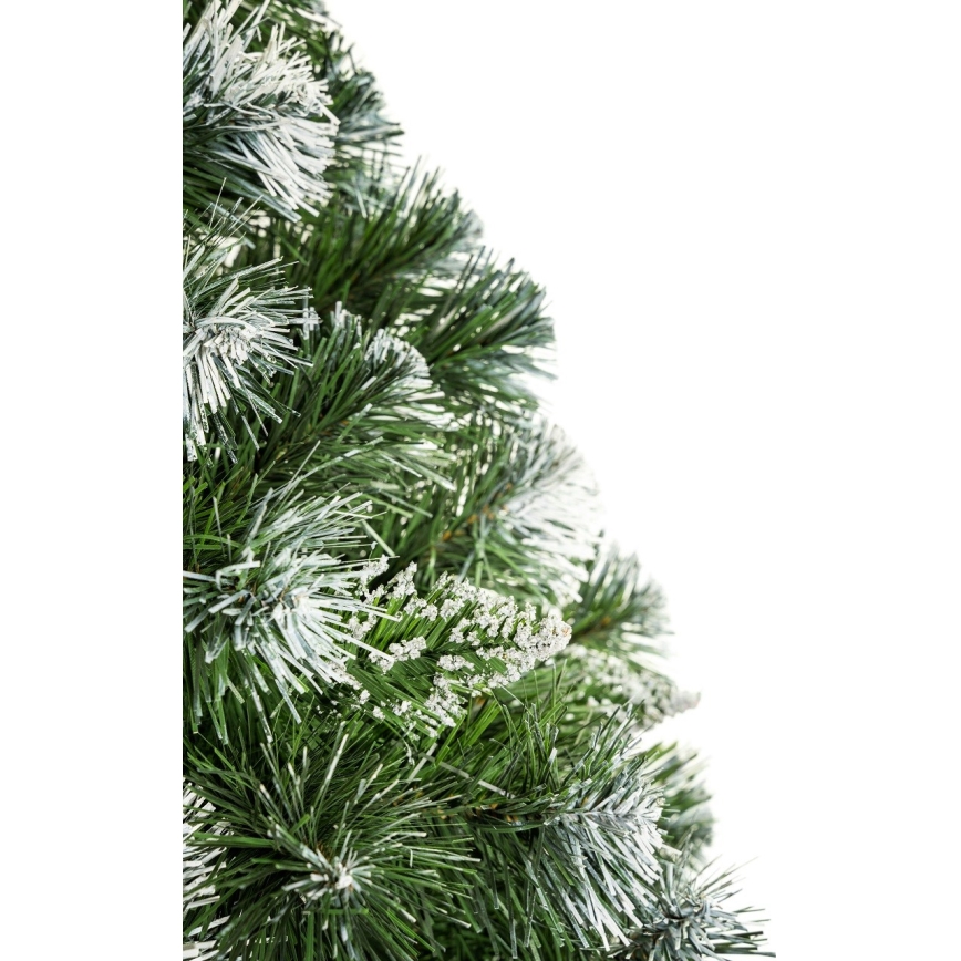 Ziemassvētku eglīte uz stumbra 180 cm priede