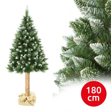 Ziemassvētku eglīte uz stumbra 180 cm priede