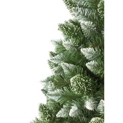 Ziemassvētku eglīte uz stumbra 180 cm priede