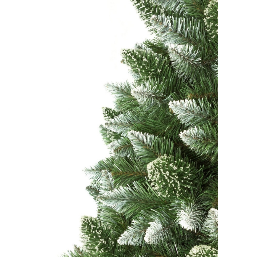 Ziemassvētku eglīte uz stumbra 180 cm priede