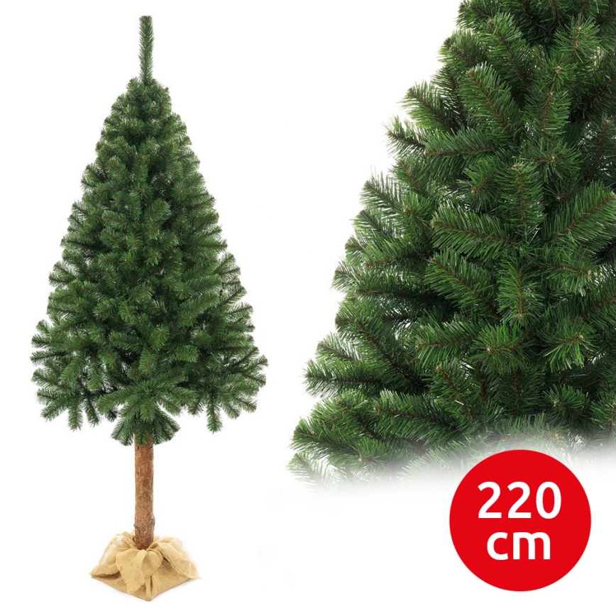 Ziemassvētku eglīte uz stumbra 220 cm egle
