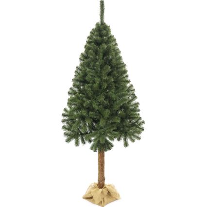Ziemassvētku eglīte uz stumbra 220 cm egle