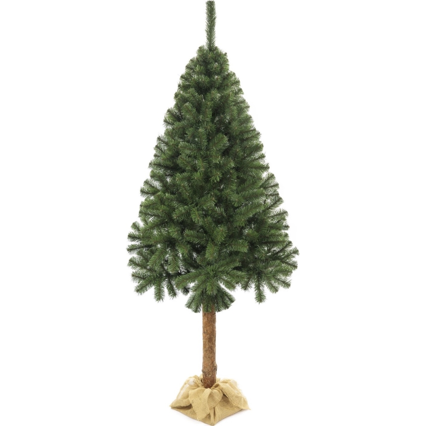 Ziemassvētku eglīte uz stumbra 220 cm egle
