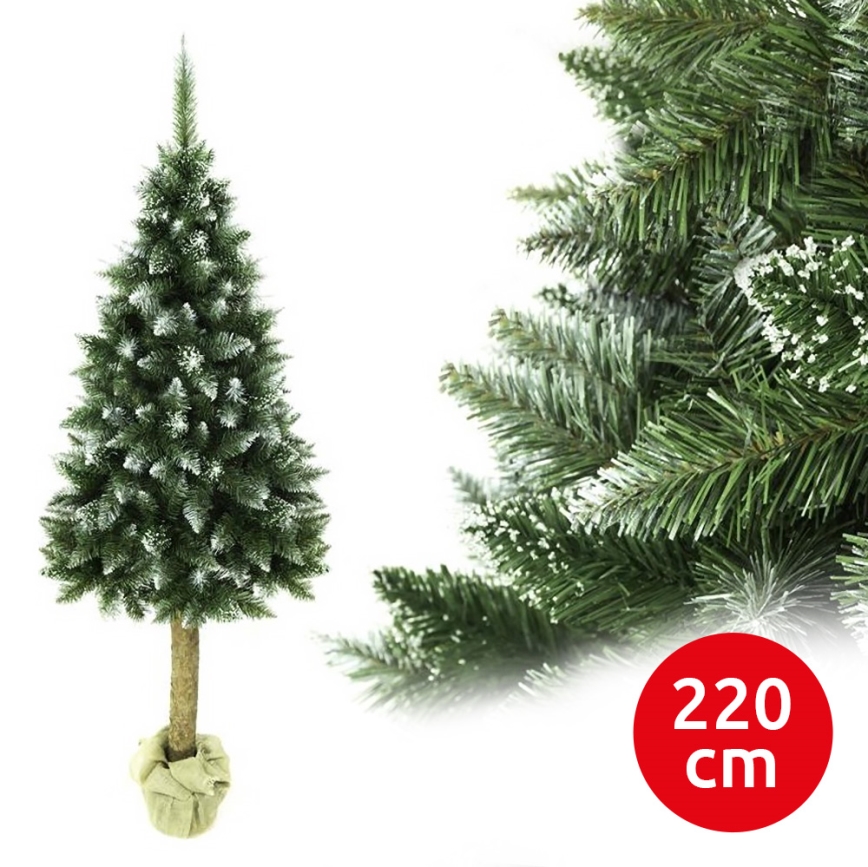 Ziemassvētku eglīte uz stumbra 220 cm egle