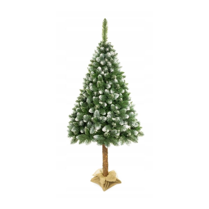 Ziemassvētku eglīte uz stumbra 220 cm priede