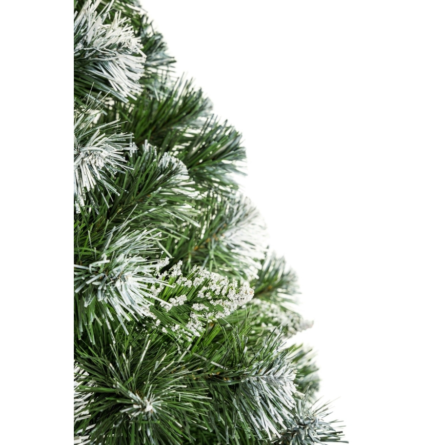 Ziemassvētku eglīte uz stumbra 220 cm priede