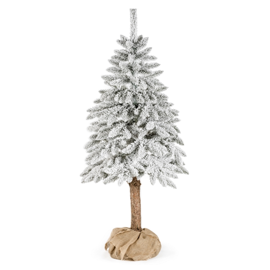 Ziemassvētku eglīte uz stumbra NATURAL WITH SNOW 120 cm egle