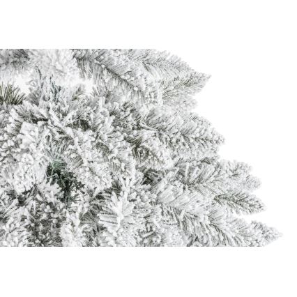 Ziemassvētku eglīte uz stumbra NATURAL WITH SNOW 120 cm egle