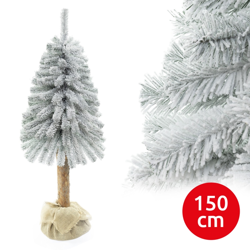 Ziemassvētku eglīte uz stumbra NATURAL WITH SNOW 150 cm egle