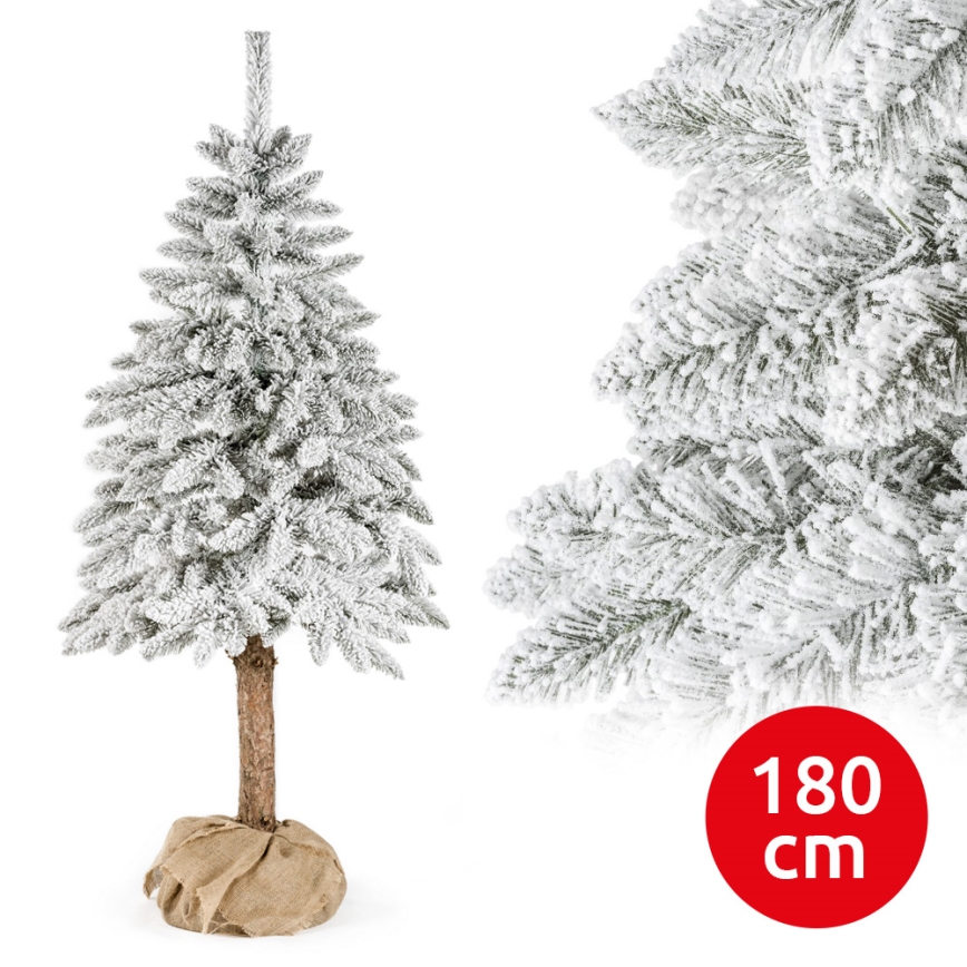 Ziemassvētku eglīte uz stumbra NATURAL WITH SNOW 180 cm egle