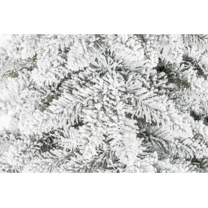 Ziemassvētku eglīte uz stumbra NATURAL WITH SNOW 180 cm egle