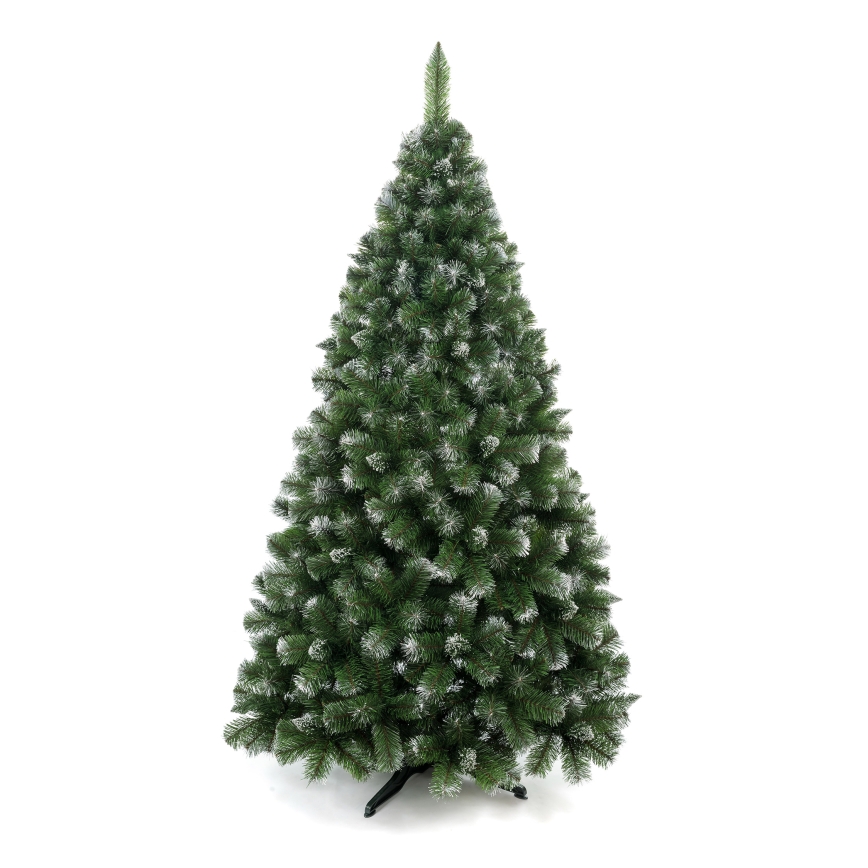 Ziemassvētku priede 120 cm