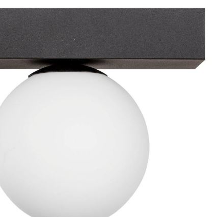 Zuma Line - Griestu lampa 2xG9/8W/230V melna