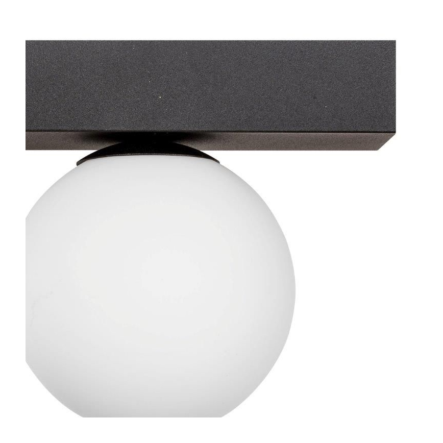 Zuma Line - Griestu lampa 2xG9/8W/230V melna
