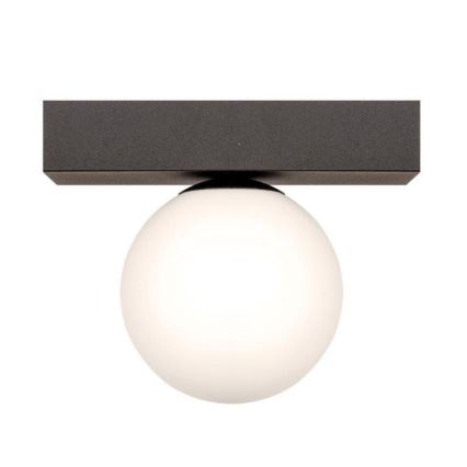 Zuma Line - Griestu lampa 1xG9/8W/230V melna