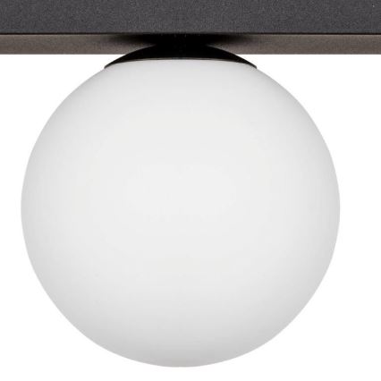 Zuma Line - Griestu lampa 1xG9/8W/230V melna