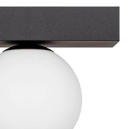 Zuma Line - Griestu lampa 1xG9/8W/230V melna