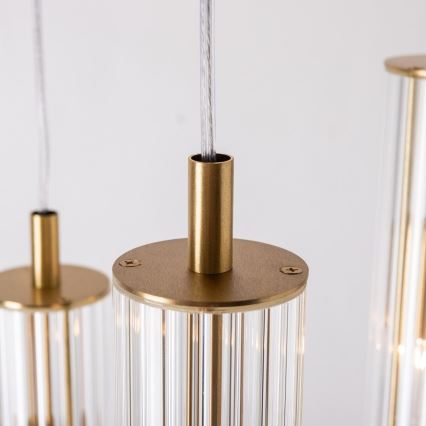 Zuma Line - pakaramā lampa uz stieples 3xE14/7W/230V, zelta krāsā