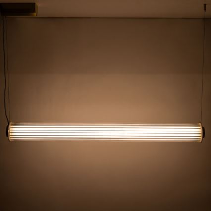 Zuma Line - regulējama LED lustra uz troses LED/39W/230V 2700-6500K zelta + tālvadība