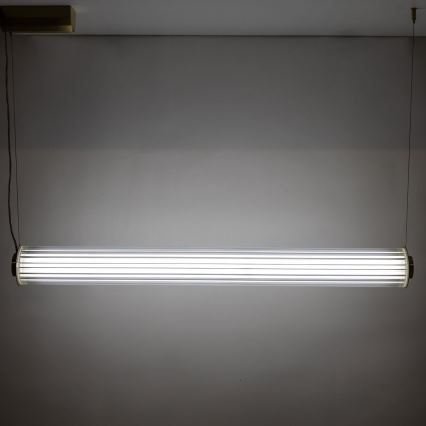 Zuma Line - regulējama LED lustra uz troses LED/39W/230V 2700-6500K zelta + tālvadība