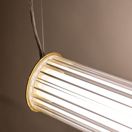 Zuma Line - regulējama LED lustra uz troses LED/39W/230V 2700-6500K zelta + tālvadība