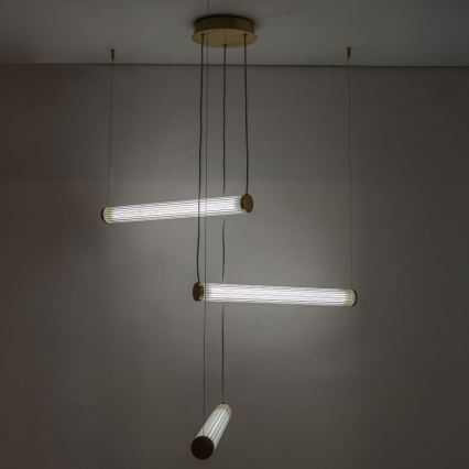 Zuma Line - regulējama LED lustra uz troses LED/64W/230V 2700-6500K zelta + ar tālvadības pulti