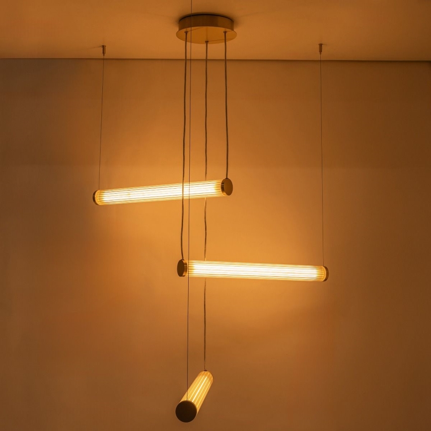 Zuma Line - regulējama LED lustra uz troses LED/64W/230V 2700-6500K zelta + ar tālvadības pulti