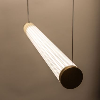 Zuma Line - regulējama LED lustra uz troses LED/64W/230V 2700-6500K zelta + ar tālvadības pulti