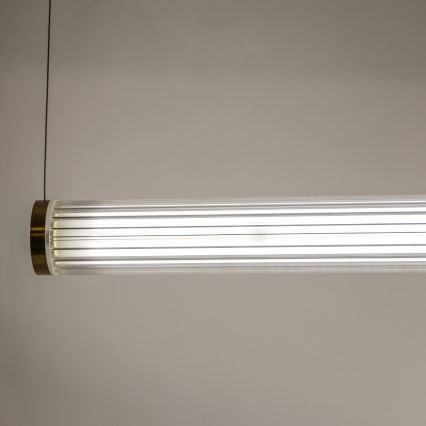Zuma Line - regulējama LED lustra uz troses LED/64W/230V 2700-6500K zelta + ar tālvadības pulti