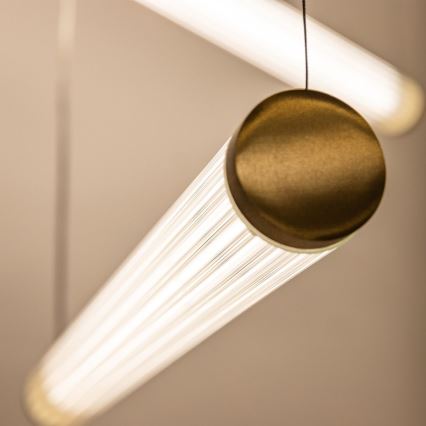 Zuma Line - regulējama LED lustra uz troses LED/64W/230V 2700-6500K zelta + ar tālvadības pulti