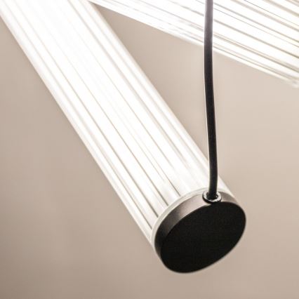 Zuma Line - LED dimmējama lustra uz kabeļa LED/64W/230V 2700-6500K melna + tālvadības pults