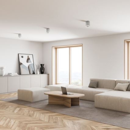 Zuma Line - LED RGBW regulējams spotgaismeklis 1xGU10/4,8W/230V balts + tālvadības pults