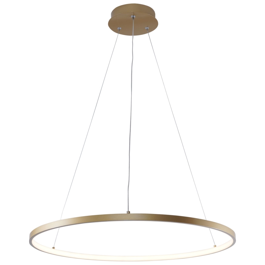 Zuma Line - LED Lustra ar auklu LED/28W/230V 3000/4000/6000K d. 60 cm zelta
