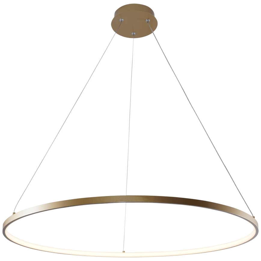 Zuma Line - LED Lustra ar auklu LED/36W/230V 3000/4000/6000K d. 80 cm zelta