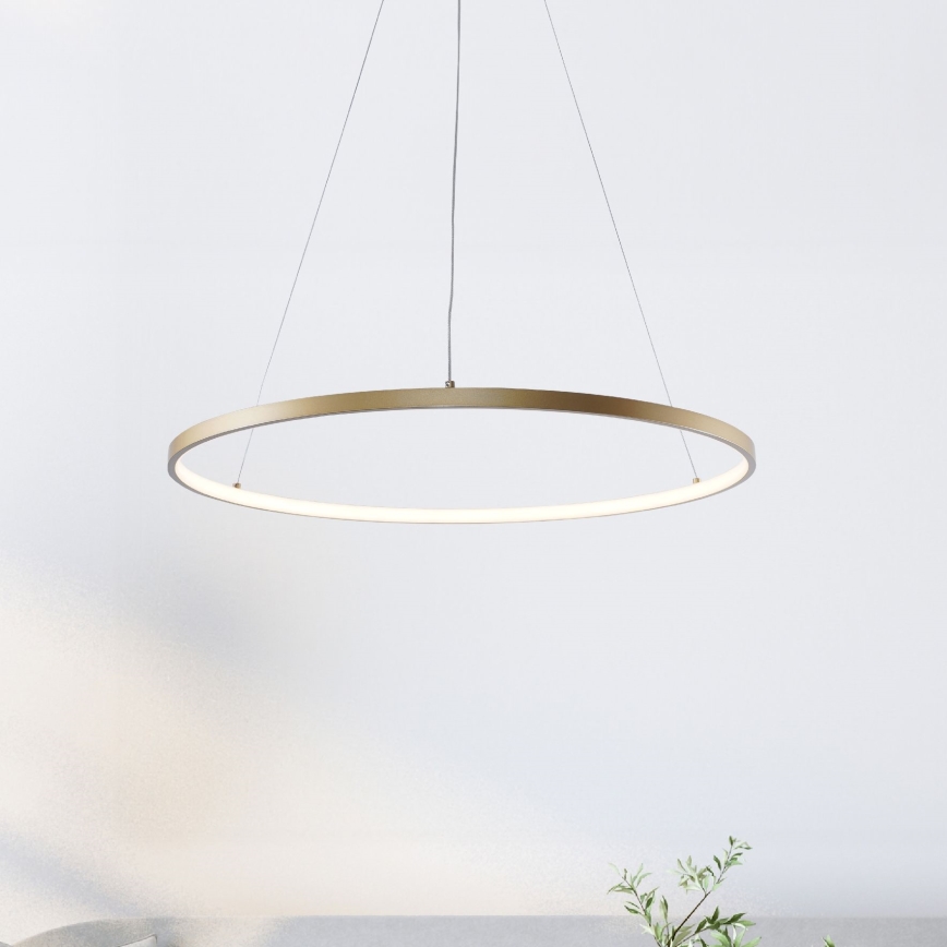 Zuma Line - LED Lustra ar auklu LED/36W/230V 3000/4000/6000K d. 80 cm zelta