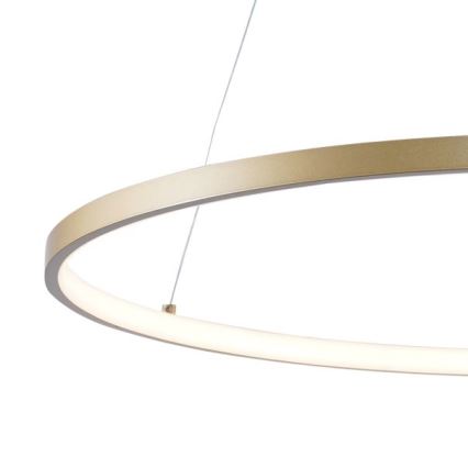 Zuma Line - LED Lustra ar auklu LED/36W/230V 3000/4000/6000K d. 80 cm zelta