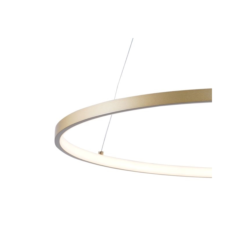 Zuma Line - LED Lustra ar auklu LED/36W/230V 3000/4000/6000K d. 80 cm zelta